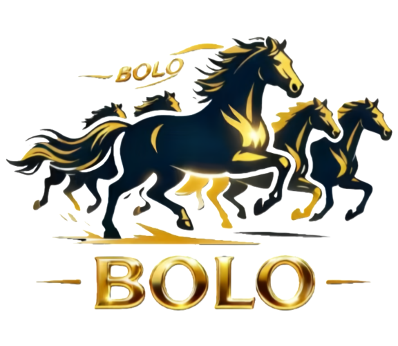 Bolo Hat Industry Co. Ltd.